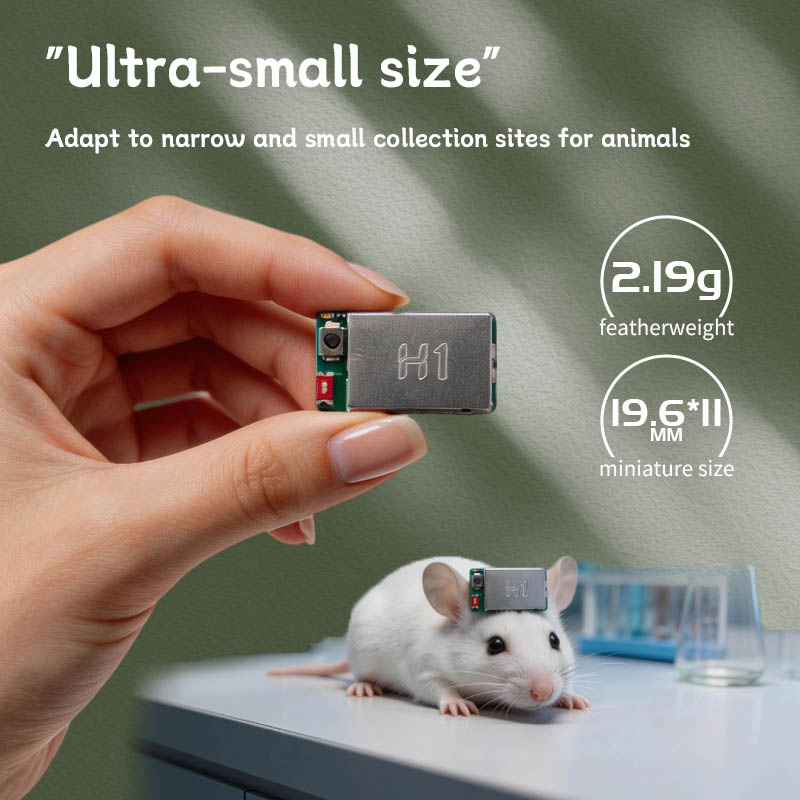 H1 EEG EMG Acquisition Module  - Muscle Sensor Emg 评论和价格